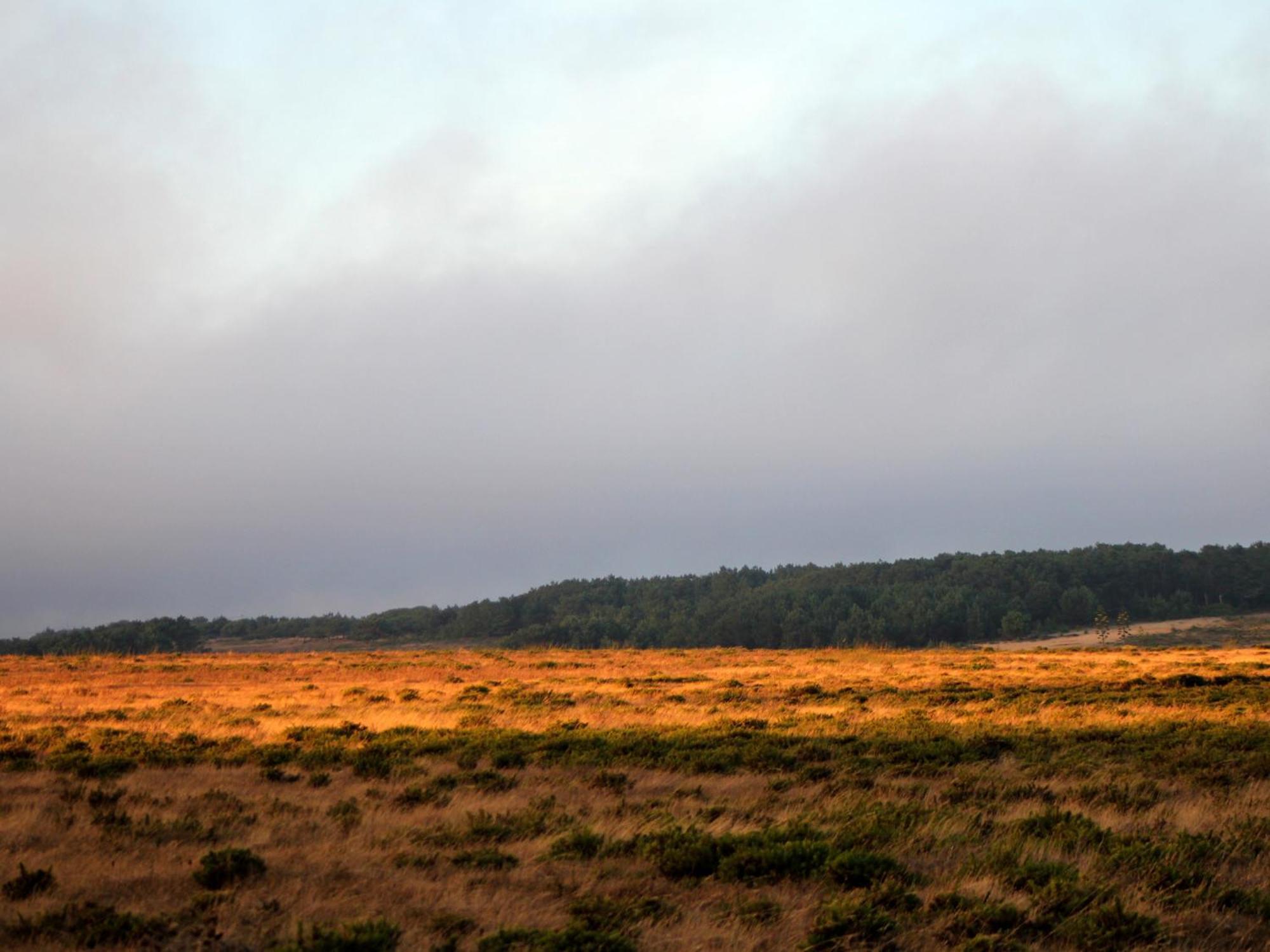Monte De Santo Antonio - Turismo Rural Vila do Bispo Eksteriør bilde
