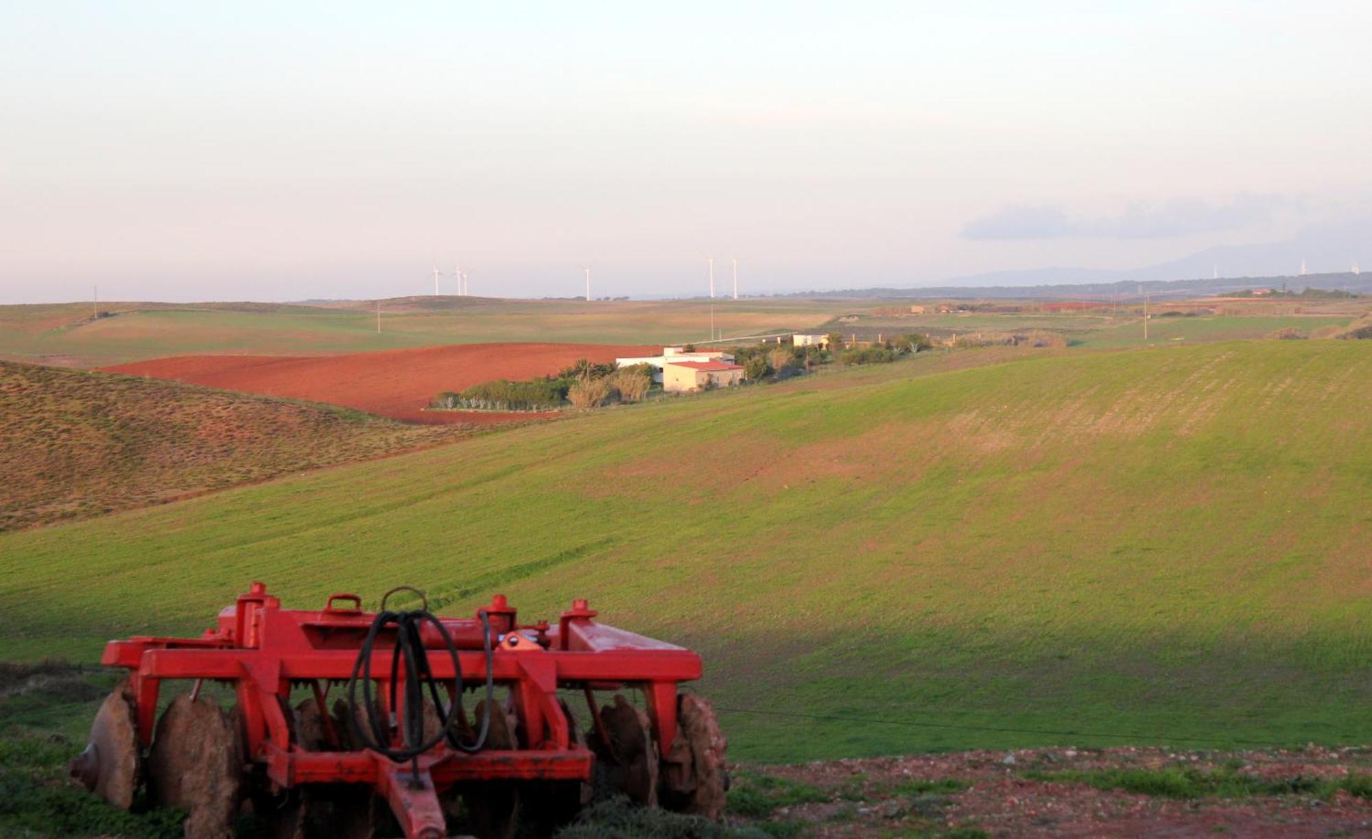Monte De Santo Antonio - Turismo Rural Vila do Bispo Rom bilde